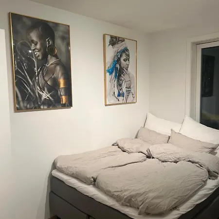 Nydelig Leilighet Med Sentral Beliggenhet. Apartament